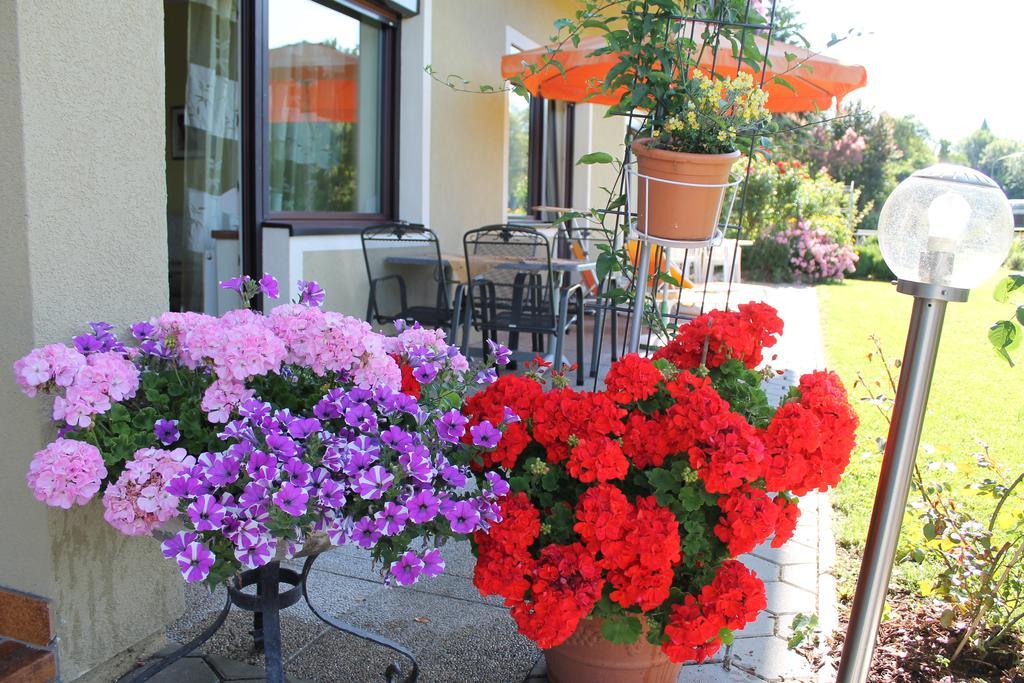 Appartement - Ferienwohnungen - Gaestehaus Gabriele 드로볼라흐암파케르시 객실 사진