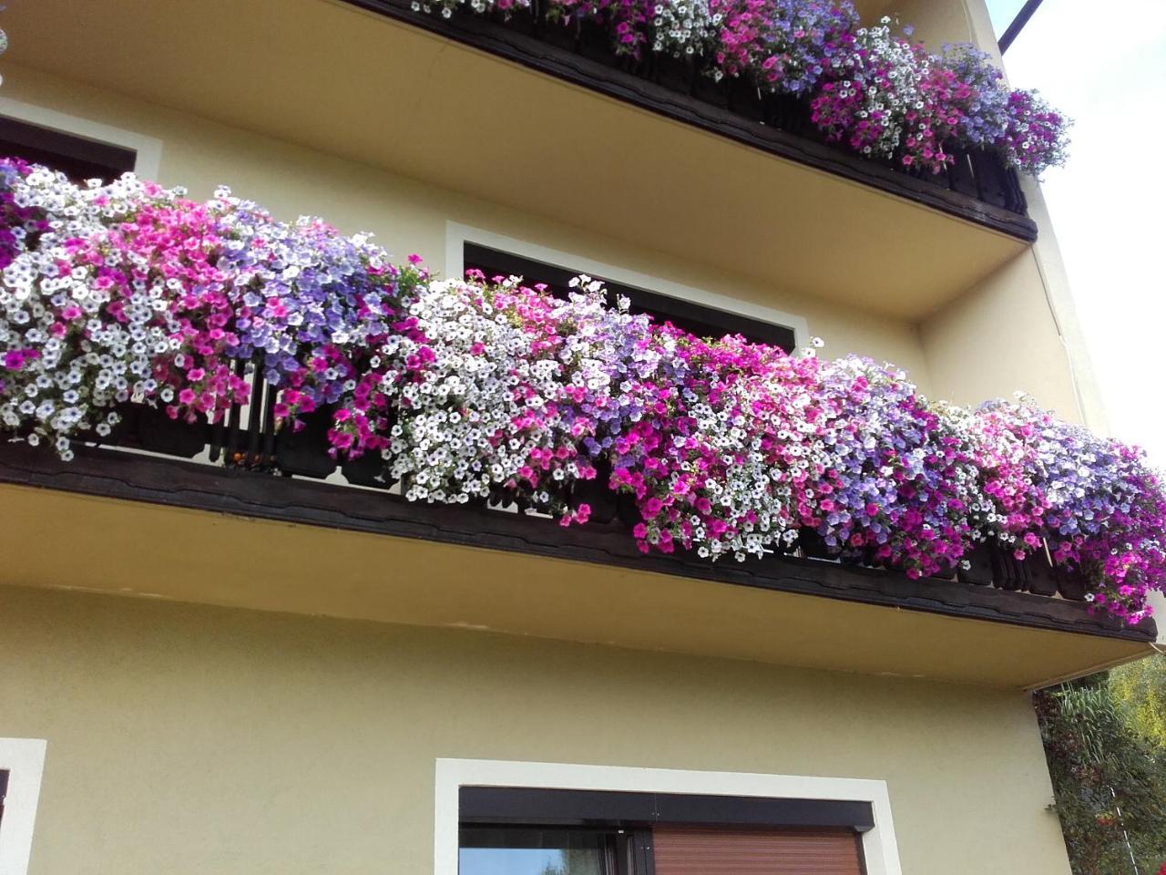 Appartement - Ferienwohnungen - Gaestehaus Gabriele 드로볼라흐암파케르시 외부 사진