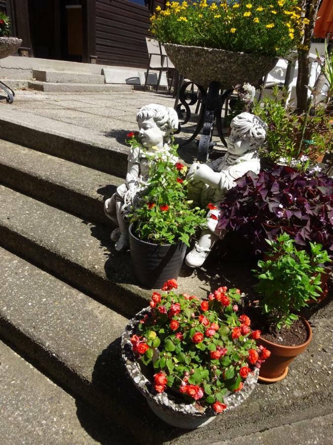 Appartement - Ferienwohnungen - Gaestehaus Gabriele 드로볼라흐암파케르시 외부 사진