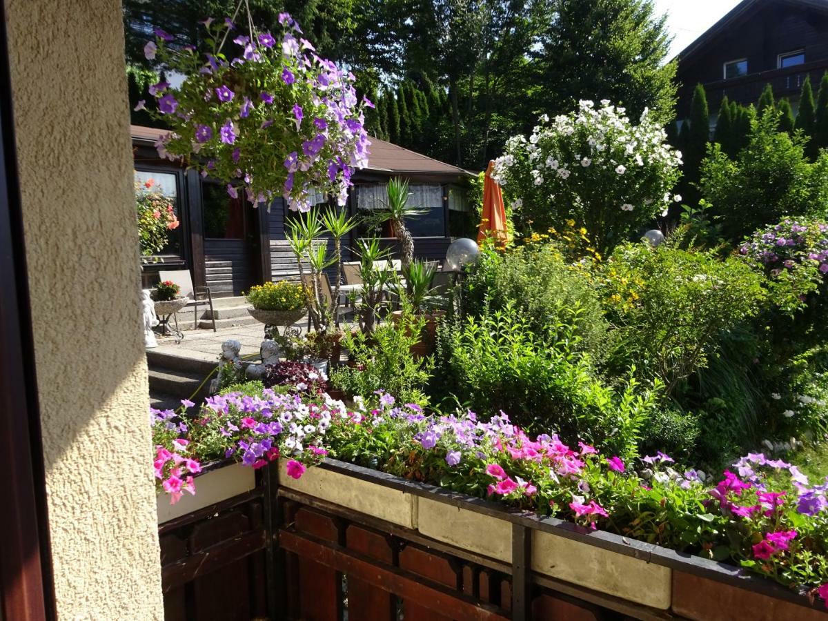 Appartement - Ferienwohnungen - Gaestehaus Gabriele 드로볼라흐암파케르시 외부 사진