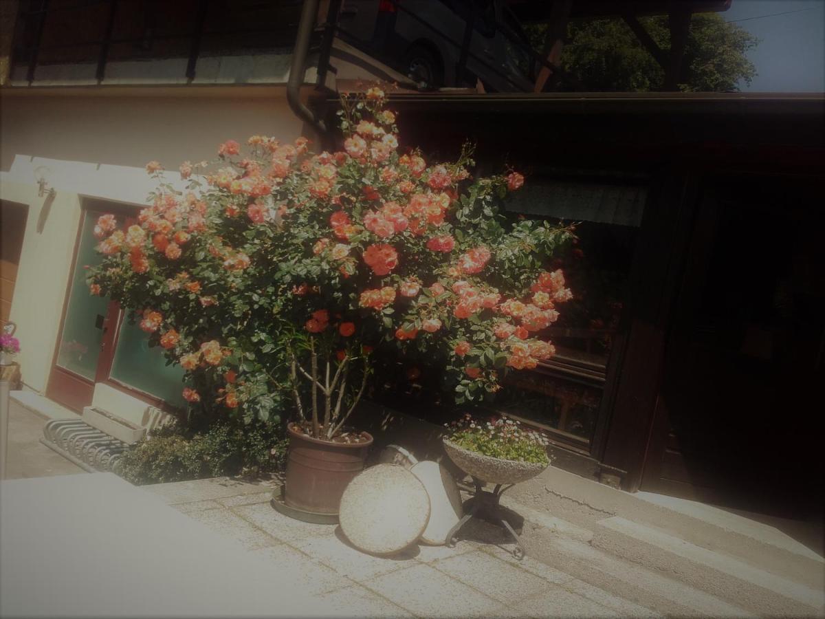 Appartement - Ferienwohnungen - Gaestehaus Gabriele 드로볼라흐암파케르시 외부 사진